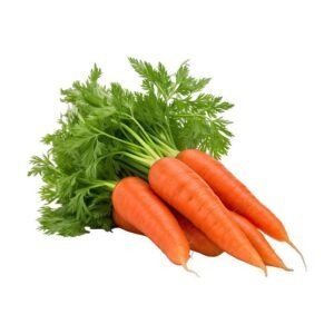 CARROT